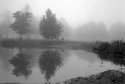 Misty Morning