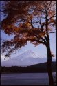 Classic Fuji