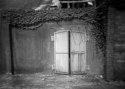 Manda Shed