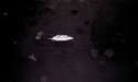 Feather