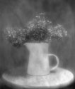 Soft Flowers