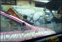 Taxi dove