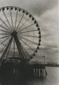 Spin the Wheel