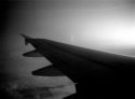 In Flight
