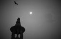 Bats in The Belfry