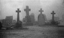 'Residents' in the Mist