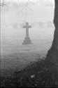Lone Cross