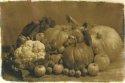 Harvest