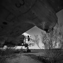 Beneath the Wing