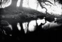 Sunday Pinhole
