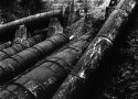 Stave Lake Power Centre - Water Source - 2014-09-17A-6B