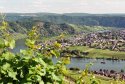 Piesport1