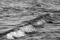 Surfs Up3-041
