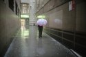 Pink umbrella