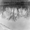 Reflection 1