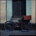 Bike, Alameda, CDMX