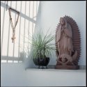 Devotional Display, Entranceway, Coyoacan