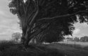 Summer Winds