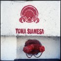 Toma Siamesa, Zona Rosa