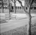 ENMU Campus Accessory