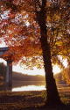 Fall Afternoon At Huffman Bridge