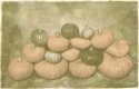 Pumpkin Harvest 2