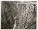 Ladner Creek Trestle