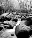 Jacob Fork Creek