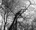Storm Coming 2