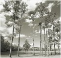 Hastings, Florida