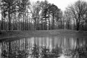 Zack's Pond
