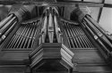 Organ Pipes Rooster Church.1