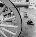 Cannon droppings