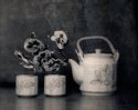 Teapot & Orchid