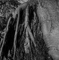 On Shoulders of Giants 2
