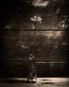 Flower - Lith