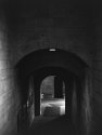 from a visit to the cloisters in northern manhattan...