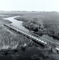 Point Pelee National Park