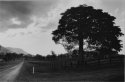 Country Road  Darkroom Print