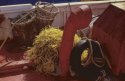 Yellow Nets - Red Boat