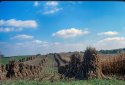 Amish Country