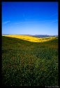 Blue, Yellow, Green