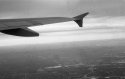 Homeward Bound-1