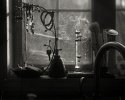 Window - Dry Plate