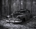Derelict - Dry Plate