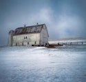 Winter Scene