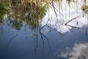 Reflections1