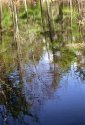 Reflections2