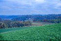 Amish Fall