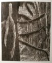 Rain Forest Detail
